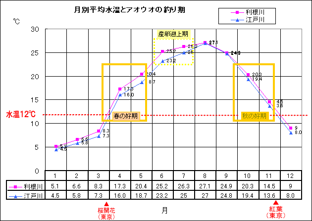 東京 湾 水温